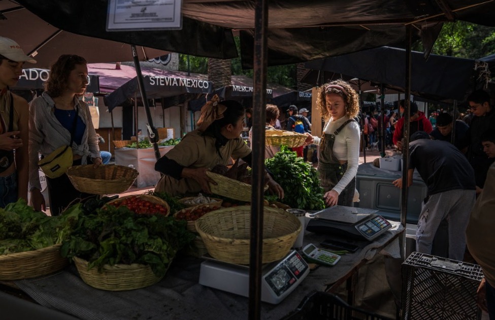 Hannah McGrath de compras en un mercado de agricultores en la colonia Roma de la Ciudad de México. (Marian Carrasquero/The New York Times)
