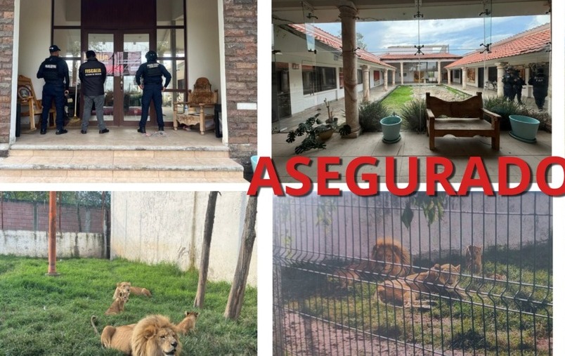 Colombian Musicians Linked to Drug Trade and Extortion in Mexico's Underworld