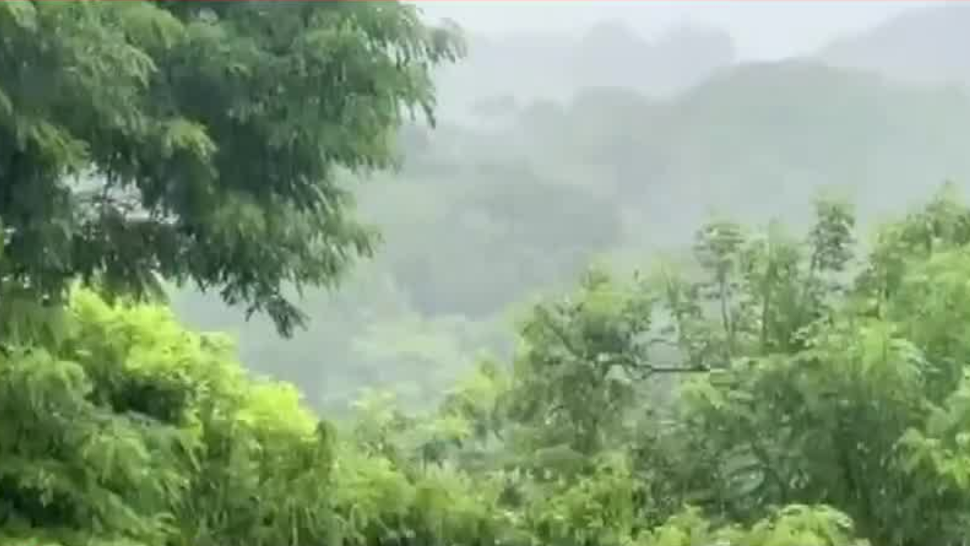 En Oaxaca, encuentran a dos jóvenes sin vida en la Sierra de Flores Magón