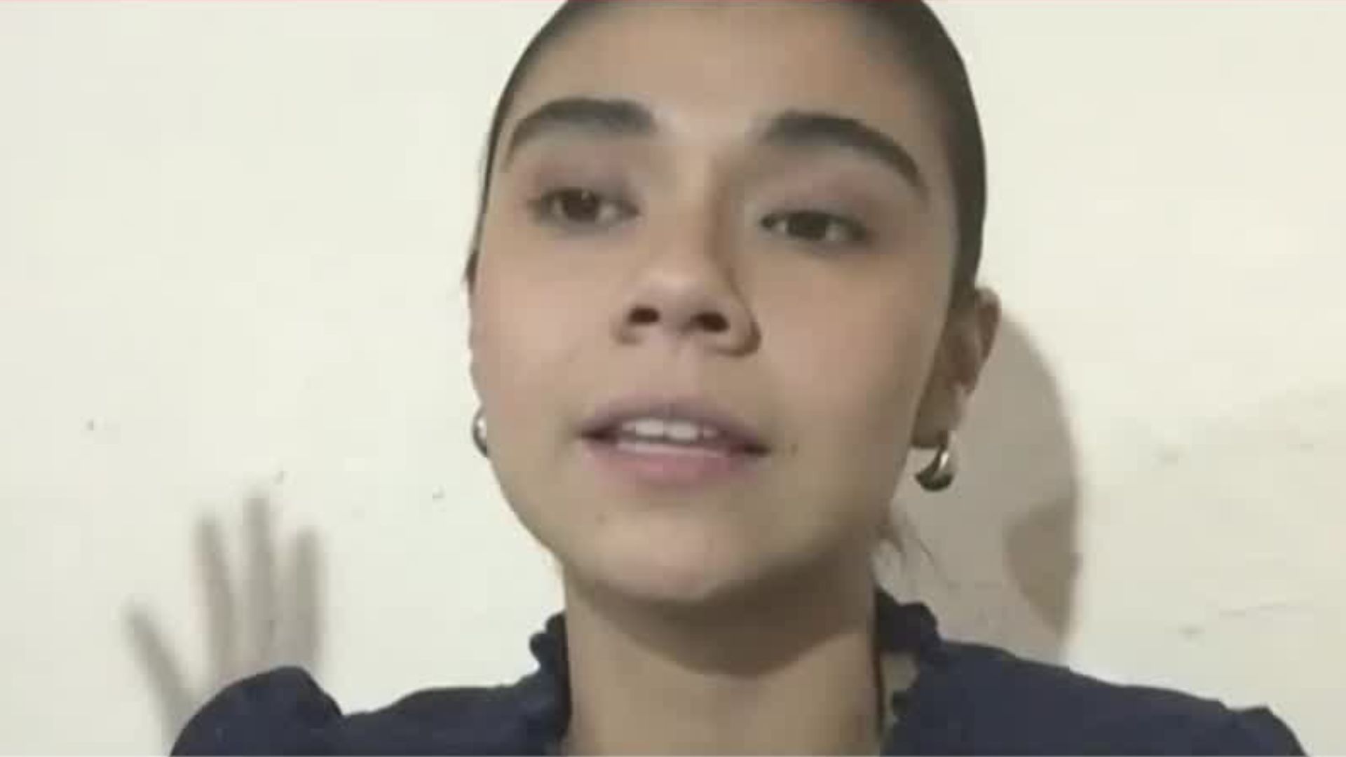 ¿Por qué se está buscando darle derechos a las ballenas en México?