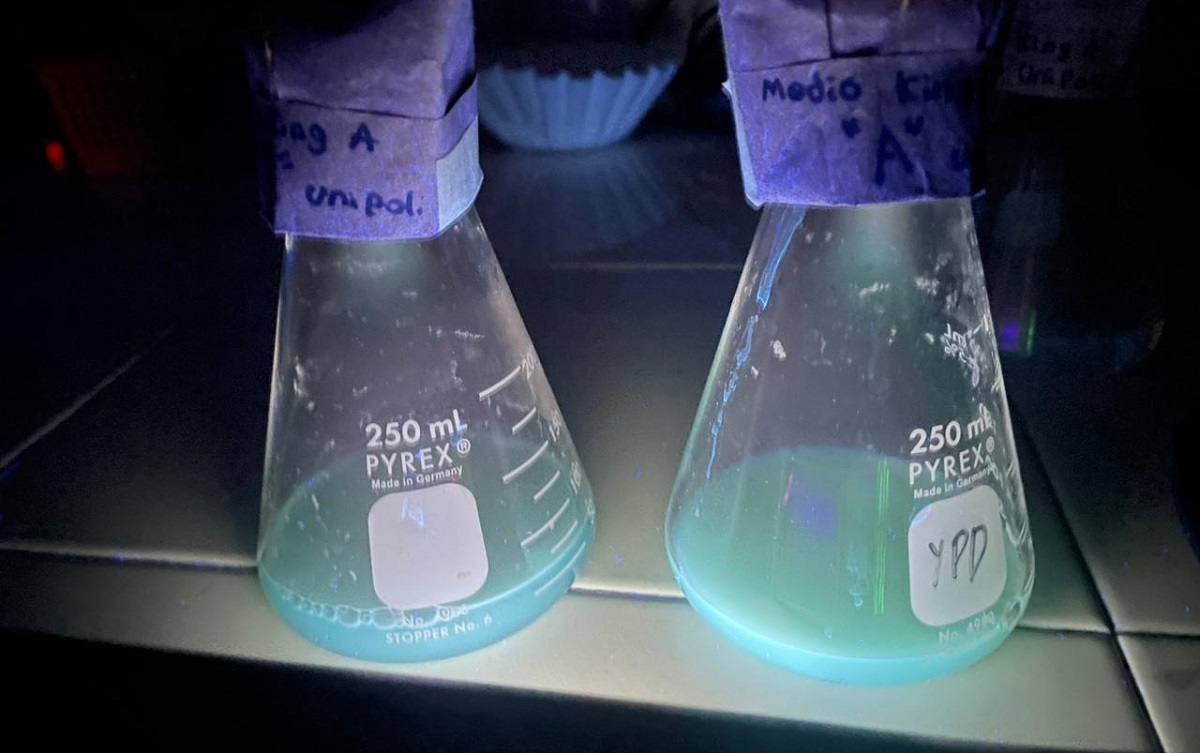 Proceso de experimentación para la investigación. (cortesía)