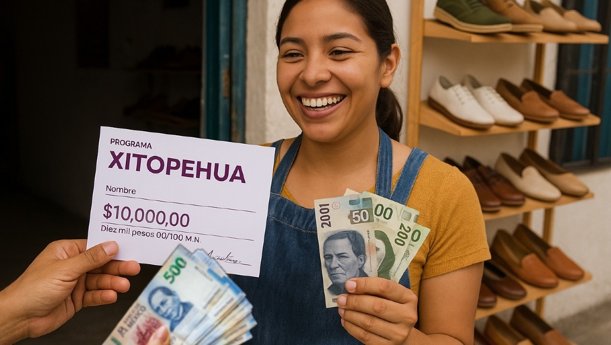 Así puedes obtener créditos accesibles para tu empresa | IA Discover