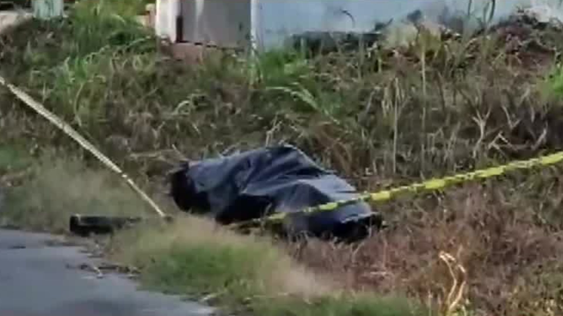 Quintana Roo, investigan un crematorio de mascotas por dejar cuerpos de animales en lotes baldíos