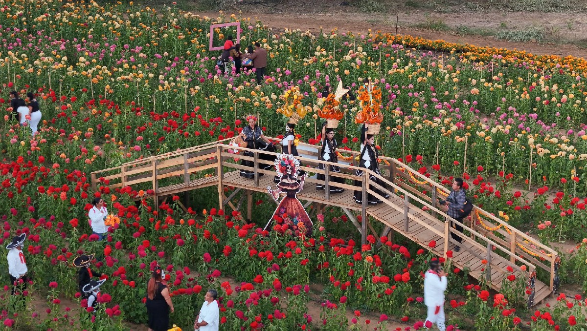 El recorrido promete ser una experiencia única para los visitantes. | Especial