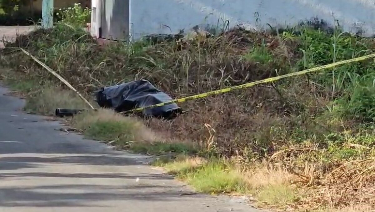 Vecinos de la zona reportaron olores fétidos en el lote baldío, lo que derivó en el descubrimiento. | Especial