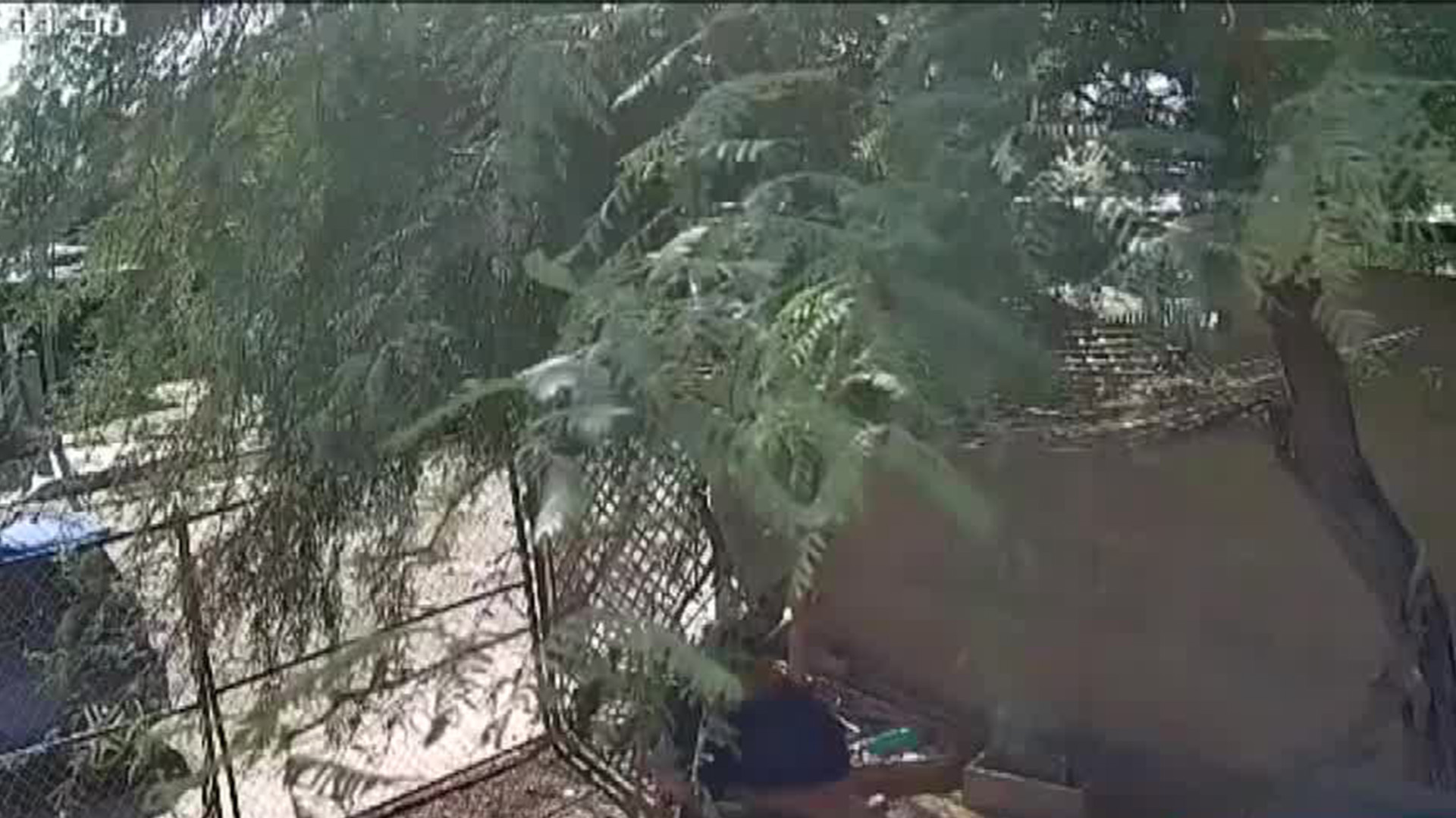 En Baja California, un agente de la fiscalía violenta a su expareja y la amenaza con un arma