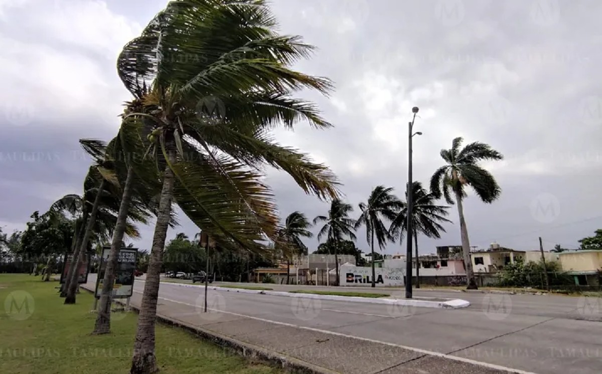 Pronóstico del tiempo en Tamaulipas, 1 de noviembre. | Sergio Sánchez