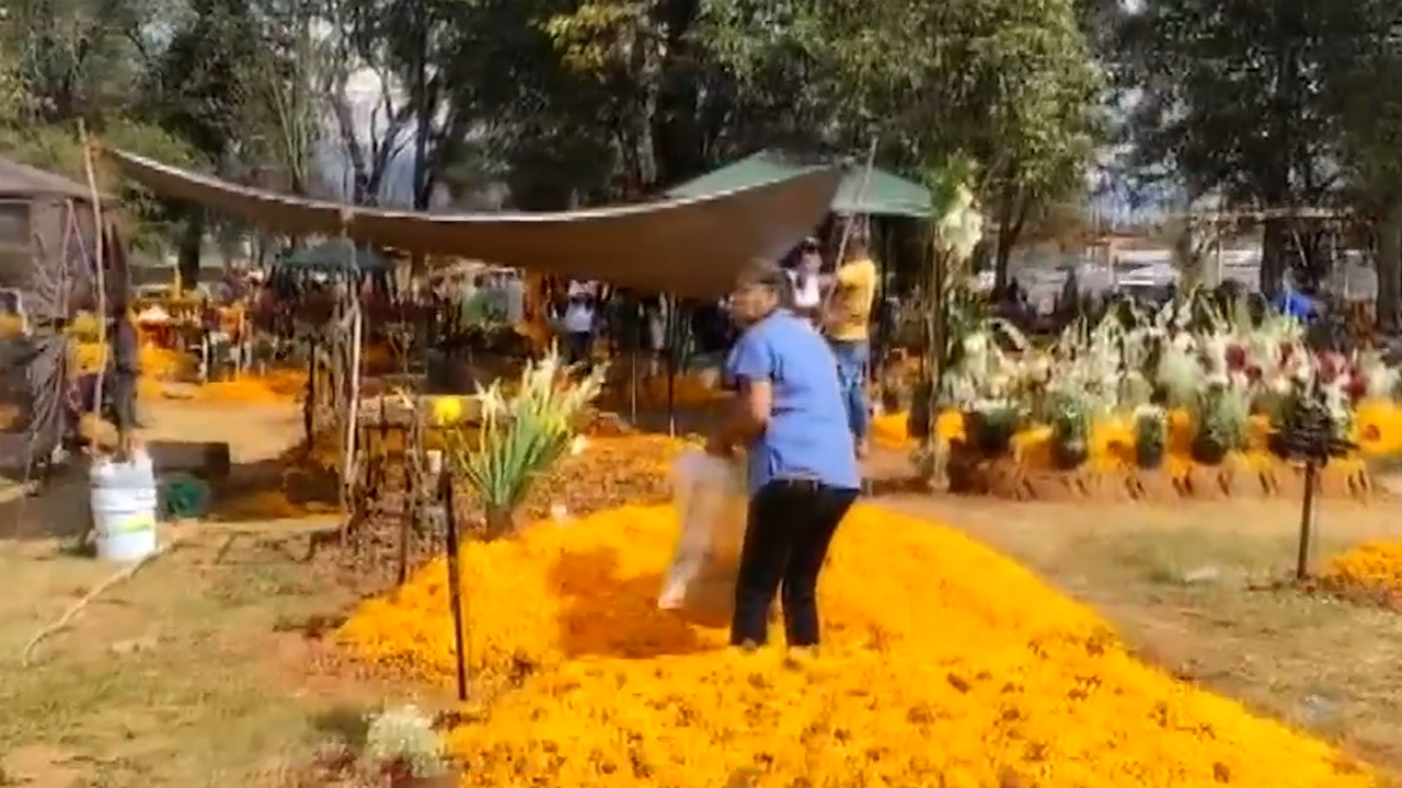 Gran afluencia de visitantes en Michoacán por festividades del Día de Muertos