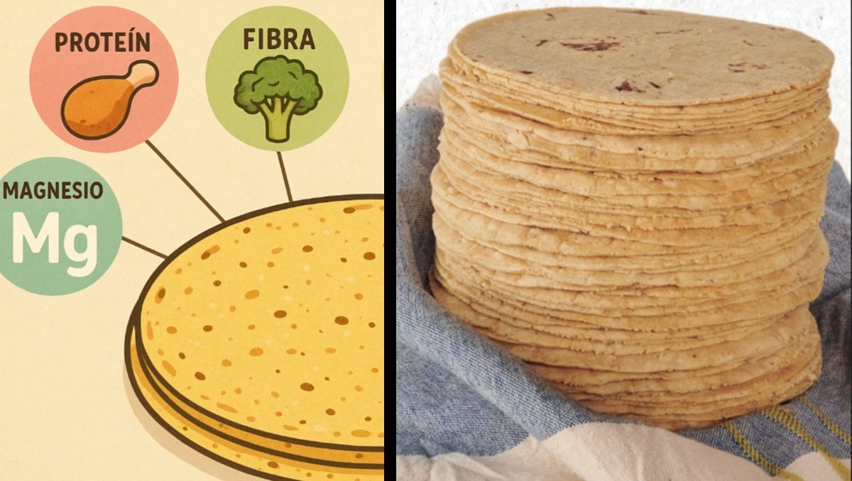 Las tortillas tienen beneficios y nutrientes | Especial IA Discover Milenio