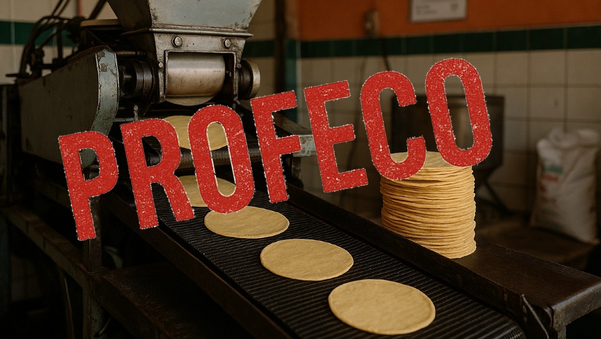 Las tortillas tienen un precio promedio en México que puedes consultar | Especial IA Discover Milenio