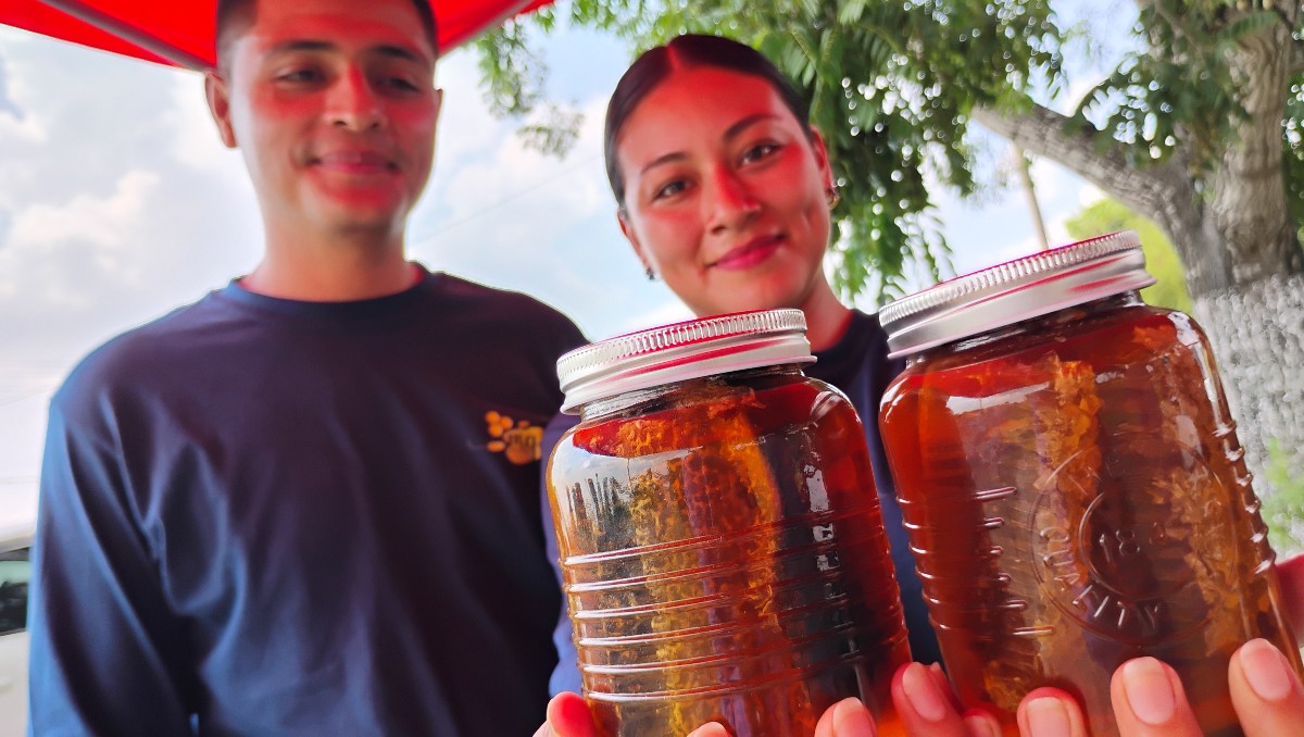 Altamira endulza a Tamaulipas: crece la apicultura en el noreste mexicano