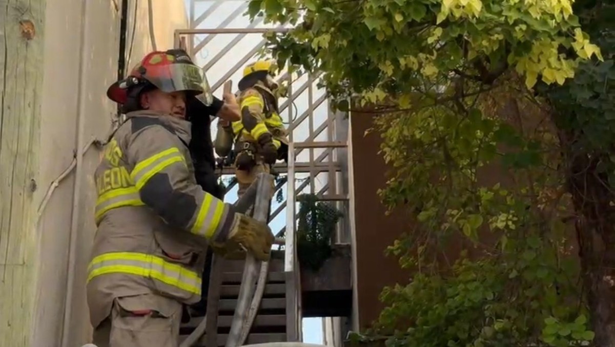 Las mascotas quedaron atrapadas en la segunda planta de la vivienda. Foto: Especial