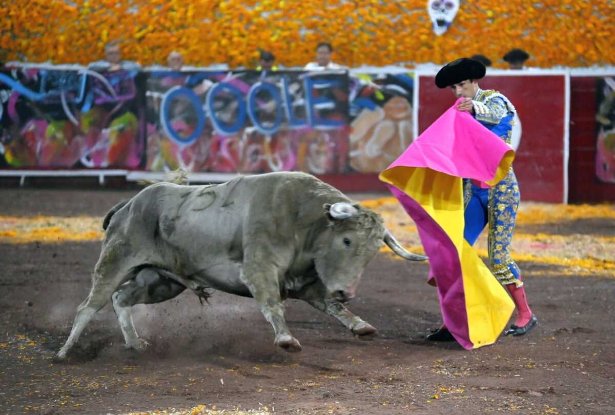 Segunda gran corrida de calaveras nocturna. | Roberto Amaya