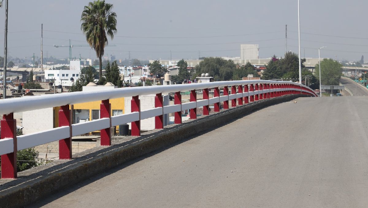 Juanita Carrillo supervisa las condiciones estructurales del Puente Madero. Foto: (Especial)