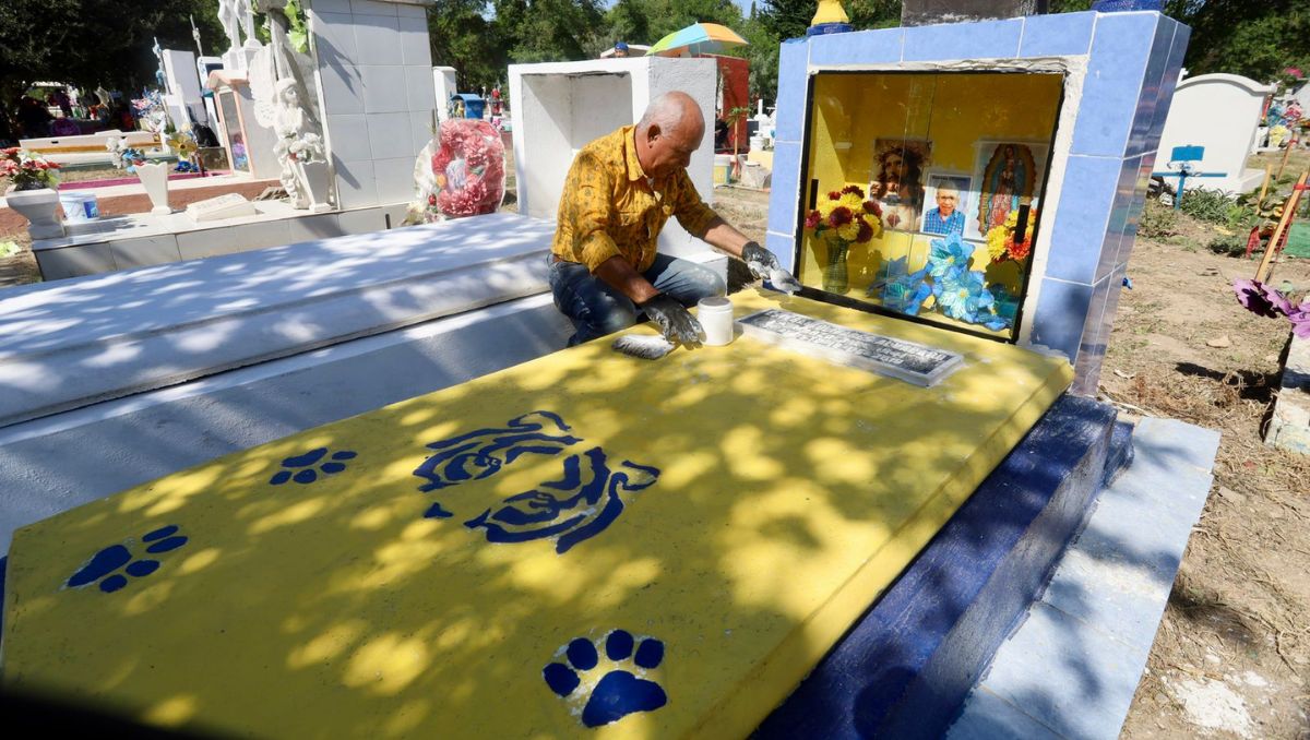 Martín dijo que su papá siempre fue tigre de corazón | Roberto Alanís