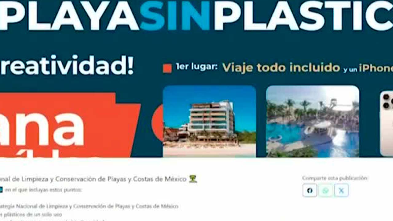 Avance en la Estrategia Nacional de Limpieza de Playas en México | Milenio Hábitat