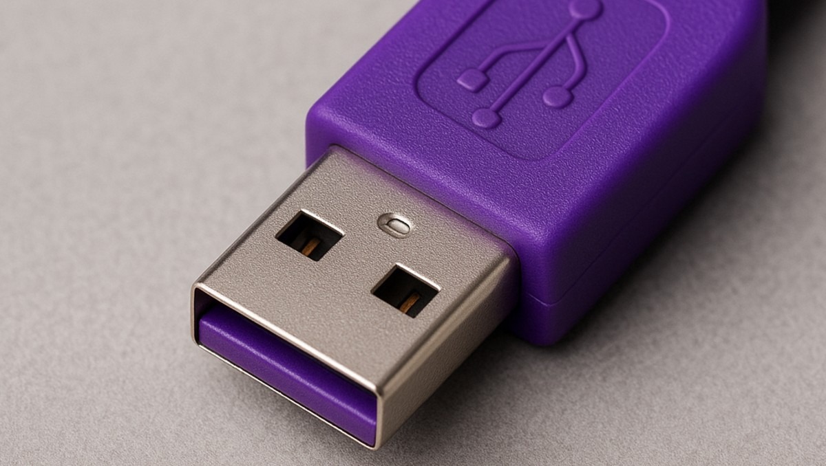 El color de los USB es para identificar fácilmente su función | IA DISCOVER