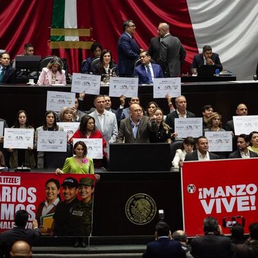 los diputados protestaron por el asesinato de Carlos Manzo