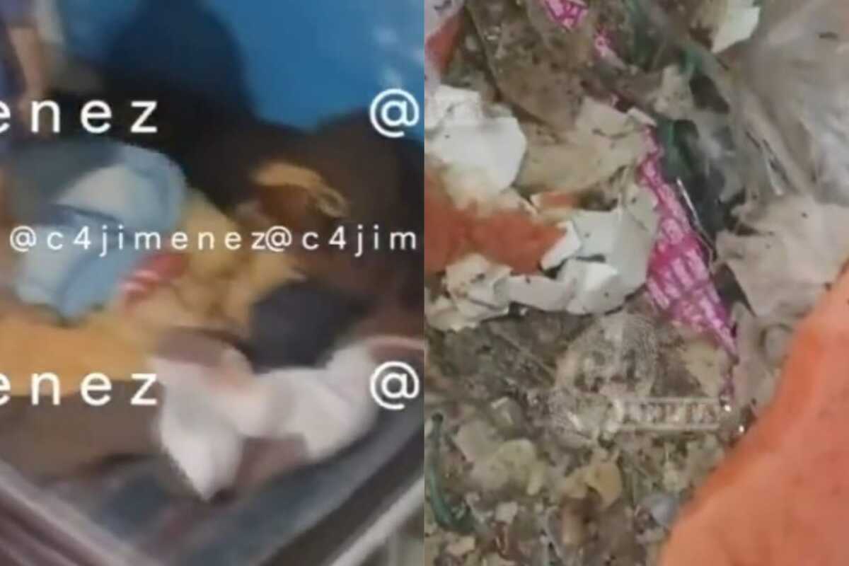 El menor estaba llorando cuando lo rescataron las autoridades capitalinas.