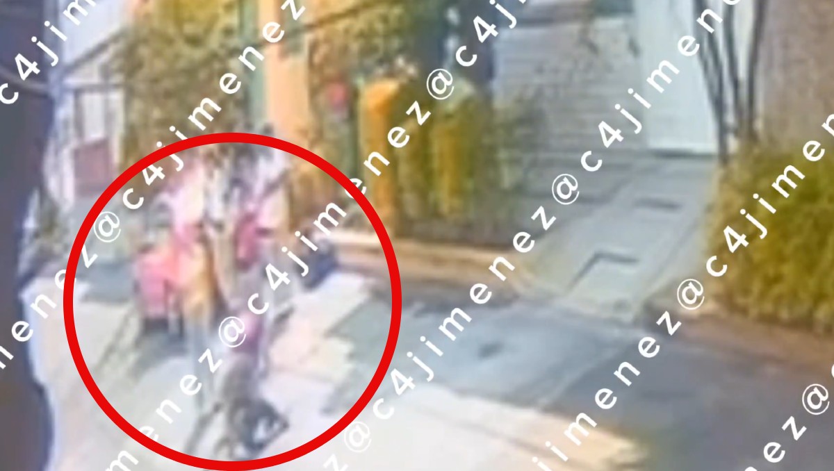 Fernanda se encuentra en silla de ruedas; familiares exigen justicia | Especial