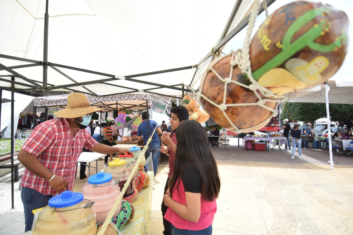El Festival del Pulque de Ocampo reúne a productores y turistas en Atotonilco de Tula. | Foto: Francisco Villeda