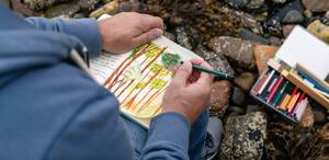 Libros ilustrados para todas las edades