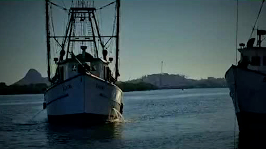 Pescadores de Sinaloa desafían amenazas de Trump y mantienen sus labores en el mar
