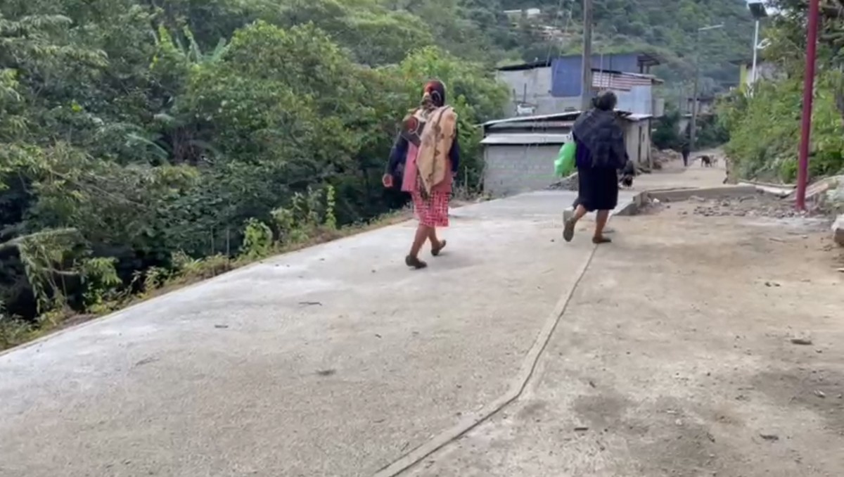 Desde los años 80 y hasta la fecha, hay más de siete mil personas víctimas de desplazamiento forzado. | Especial