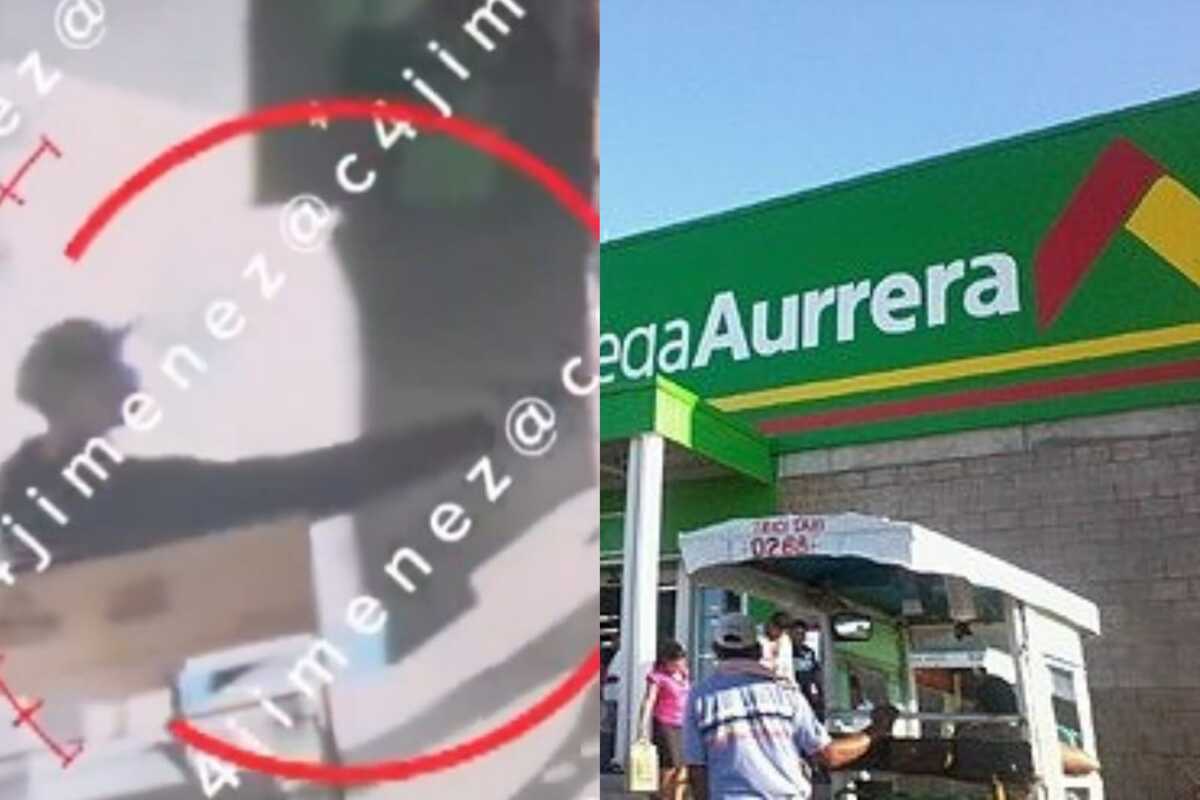 El presunto responsable fue detenido tras escapar del lugar de los hechos.