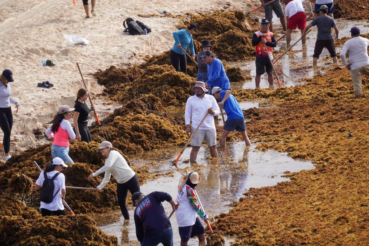 La estrategia científica incluye biorefinerías y monitoreo satelital. | Archivo Cuartoscuro