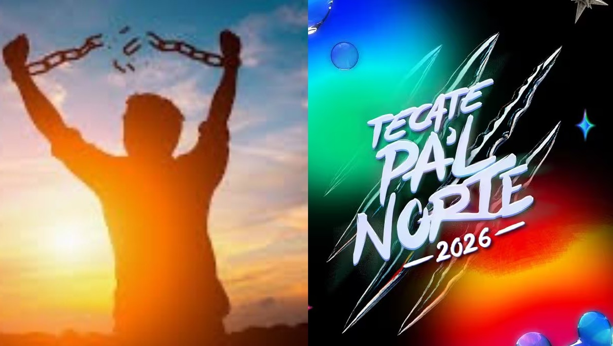 Memes del Festival Tecate Pa'l Norte | Especial