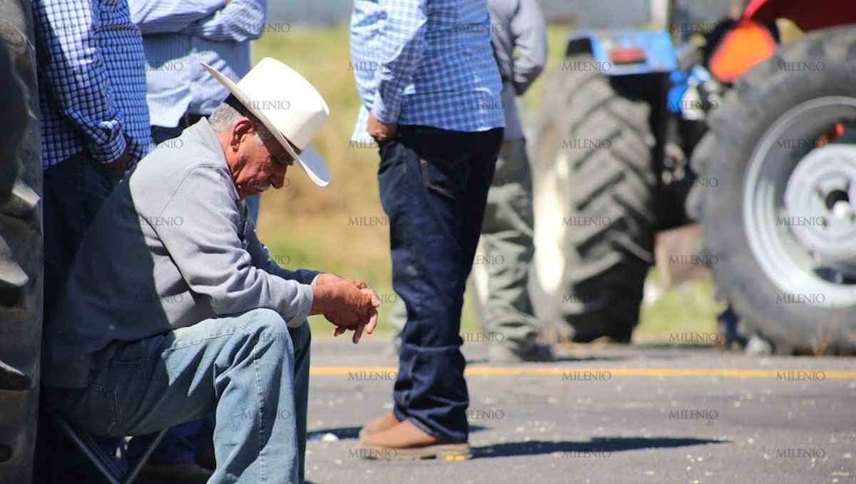 Productores agrícolas en Guanajuato podrían extender bloqueos | Daniela Béjar