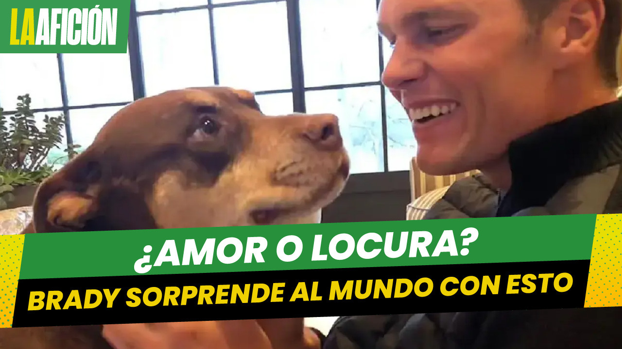 Tom Brady revela que clonó a su perrita fallecida hace un año: "Amo a mis animales"