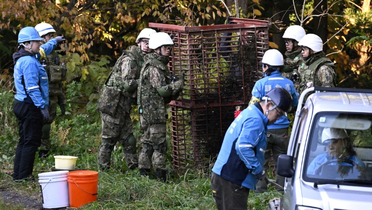 Tropas japonesas instalan trampas con barras de acero utilizadas para capturar osos. | Foto: Reuters