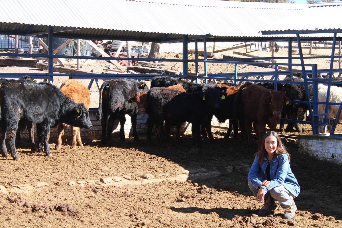 En Coahuila, donde se estima que hay hasta 15 mil mujeres ganaderas.| Especial