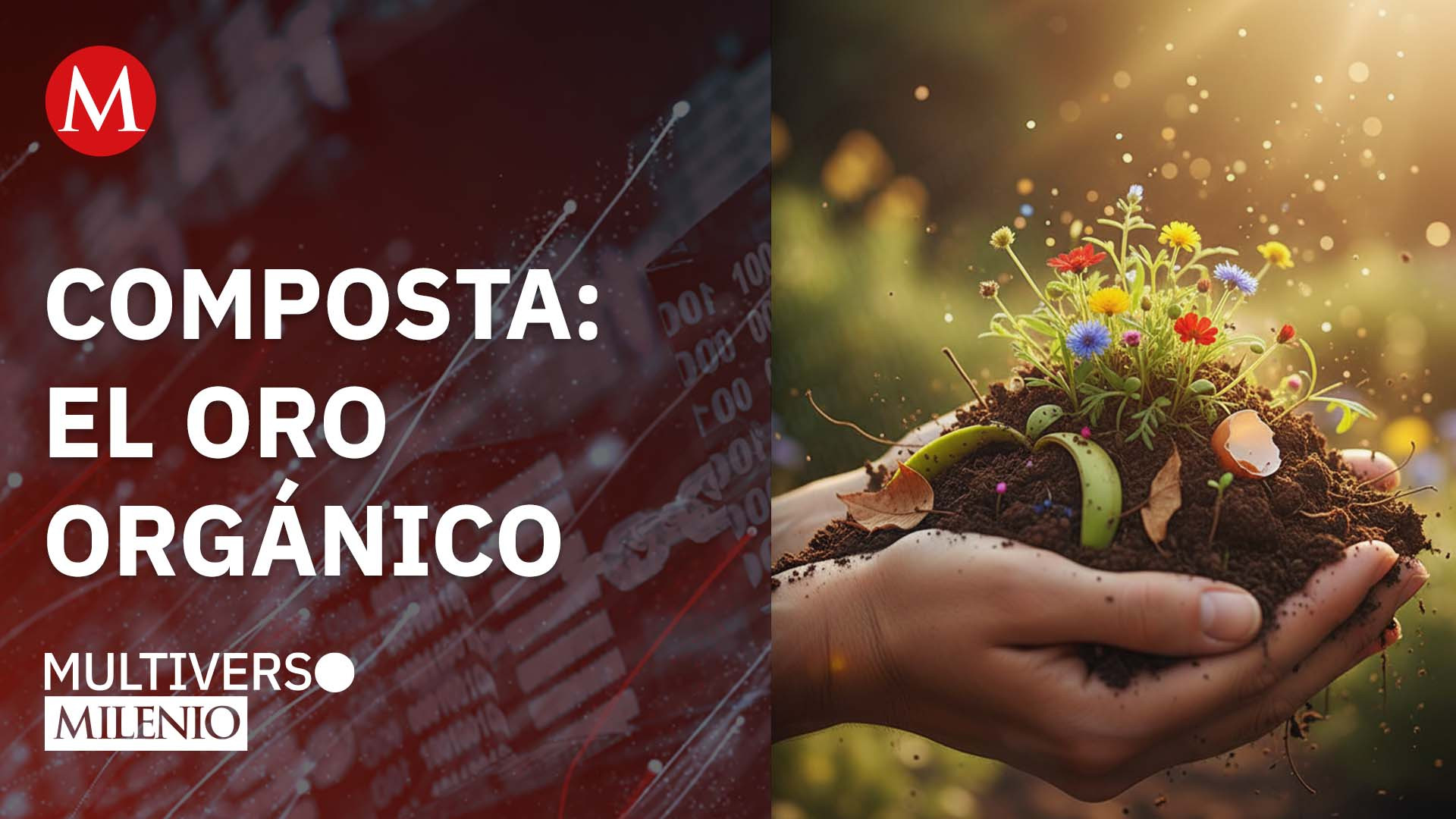 Composta: el oro orgánico | Multiverso Milenio