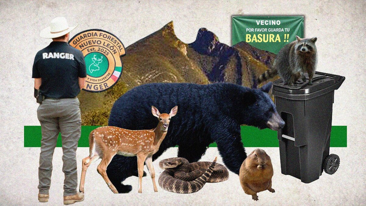 Concientizar y preservar la fauna son dos de los objetivos de la Guardia Forestal | Milenio