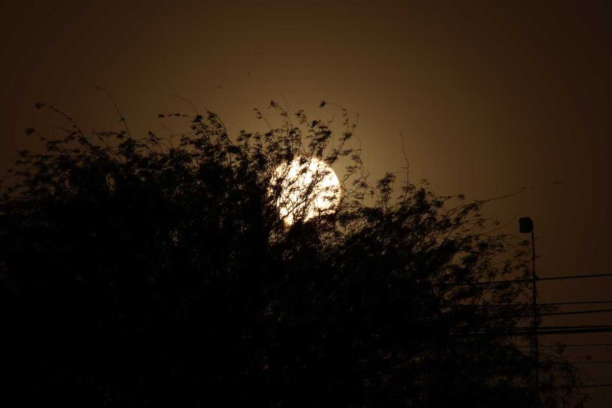 Te decimos cuál es el pronóstico del tiempo para Torreón, Saltillo, Coahuila y Durango este 7 de noviembre por condición climática.| Verónica Rivera