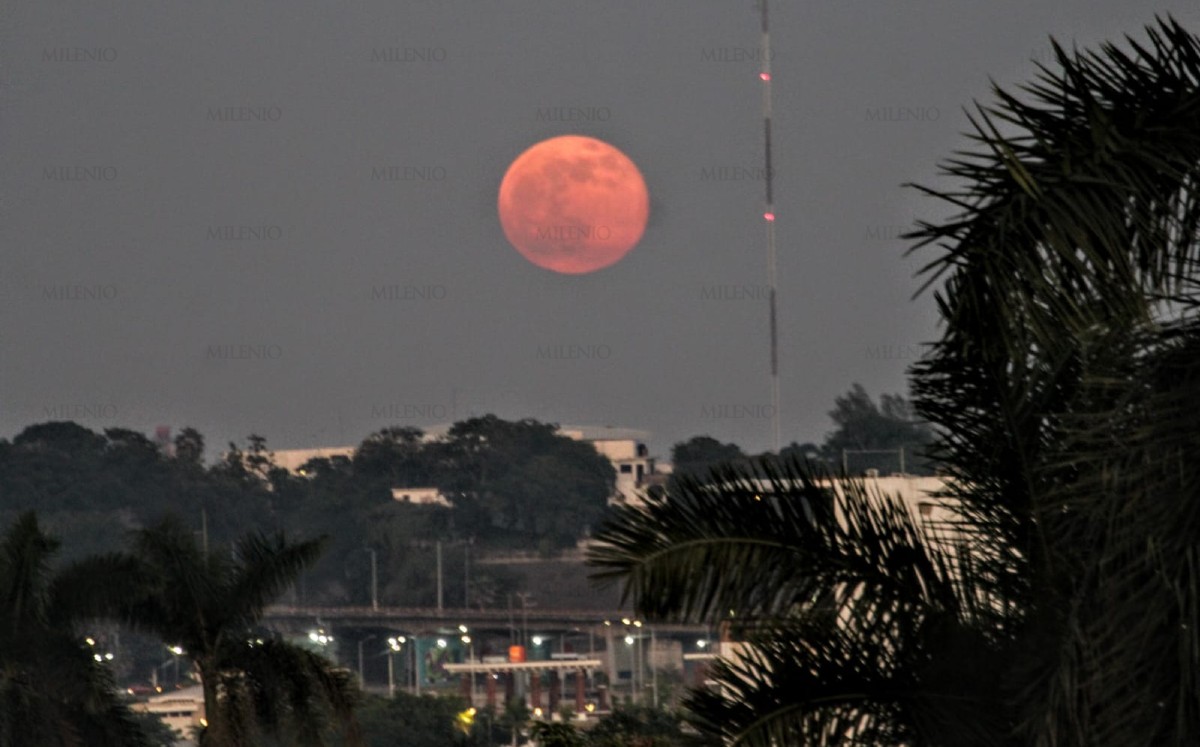 Luna tamaulipeca. | Sergio Sánchez