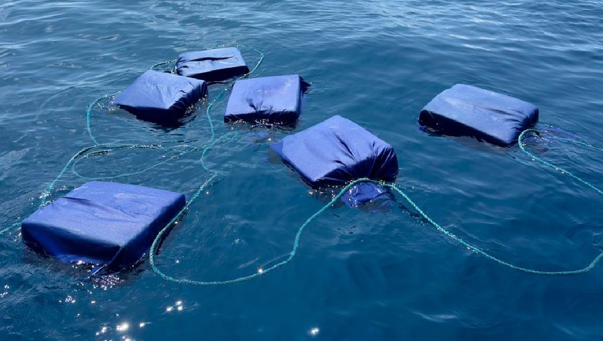 No se reportan personas detenidas. | Especial