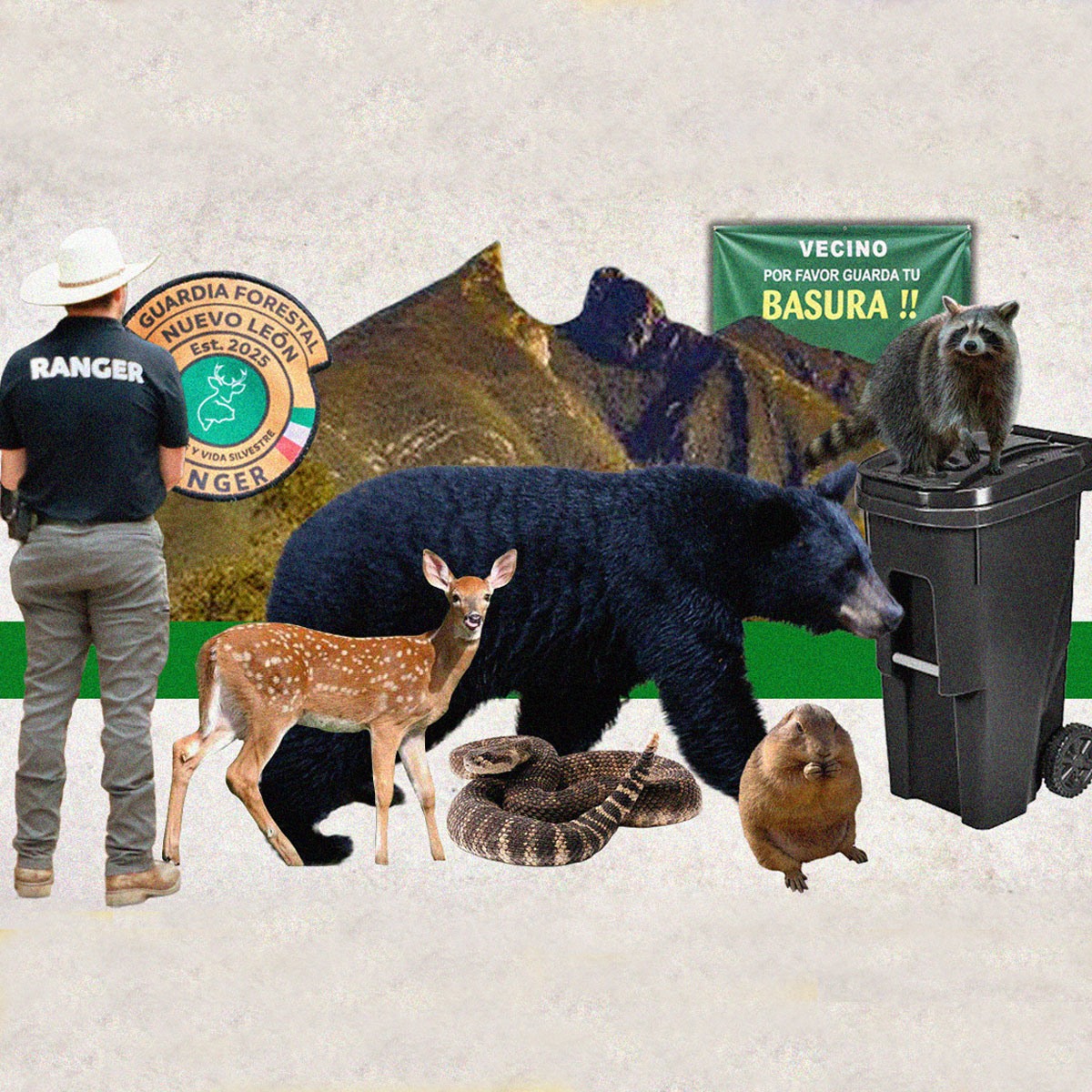 La Guardia Forestal de Nuevo León rescata osos y concientiza gente.