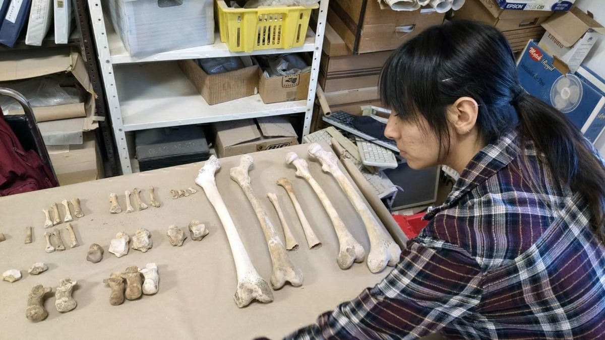 Arqueólogos denuncian saqueos en cuevas del norte de México. (Especial)