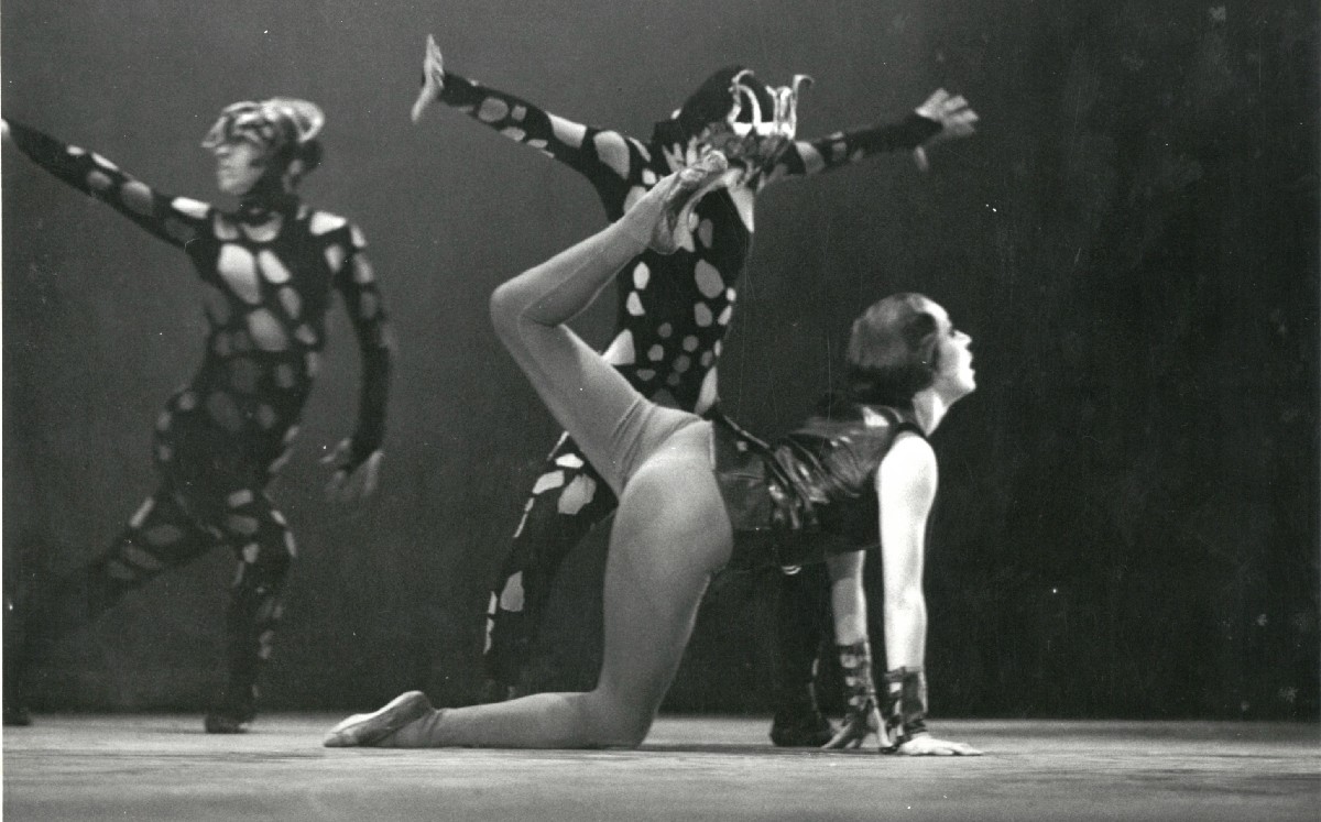 La muerte de un cazador.  FOTO: Paulina Lavista