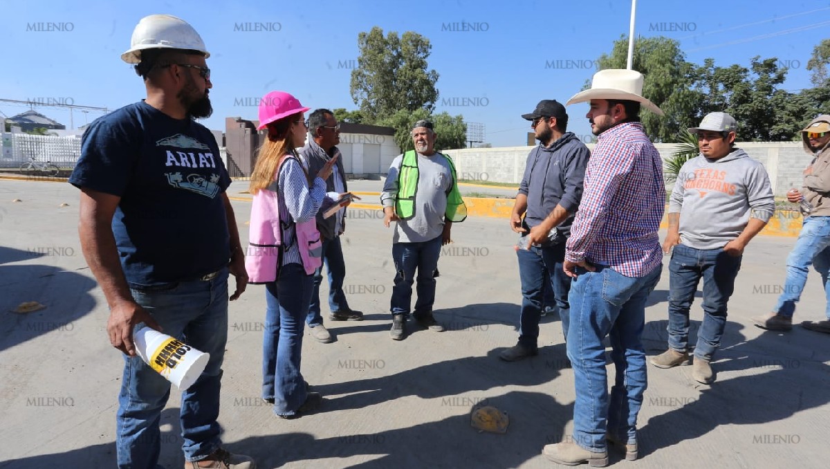 Productores de maíz Guanajuato: no-recuperan inversión, piden negociar | Daniela Béjar