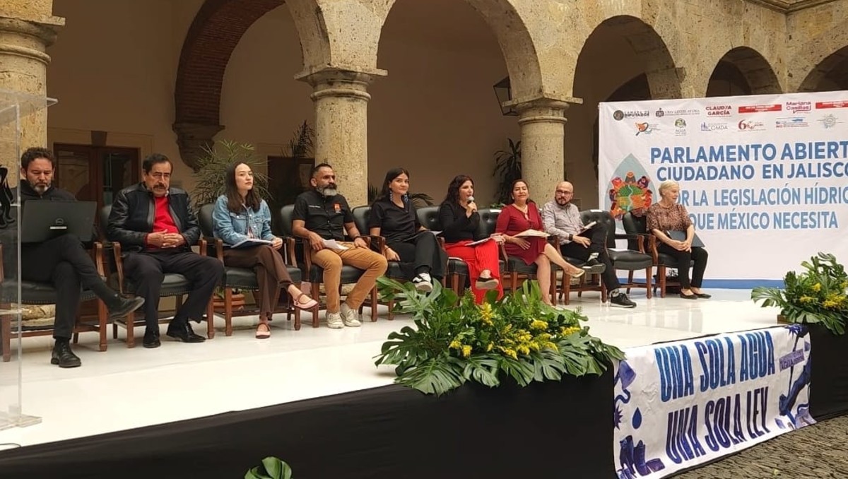 Señalan que hay varias propuestas para cambiar actual marco legislativo de aguas (Roberto Hurtado)