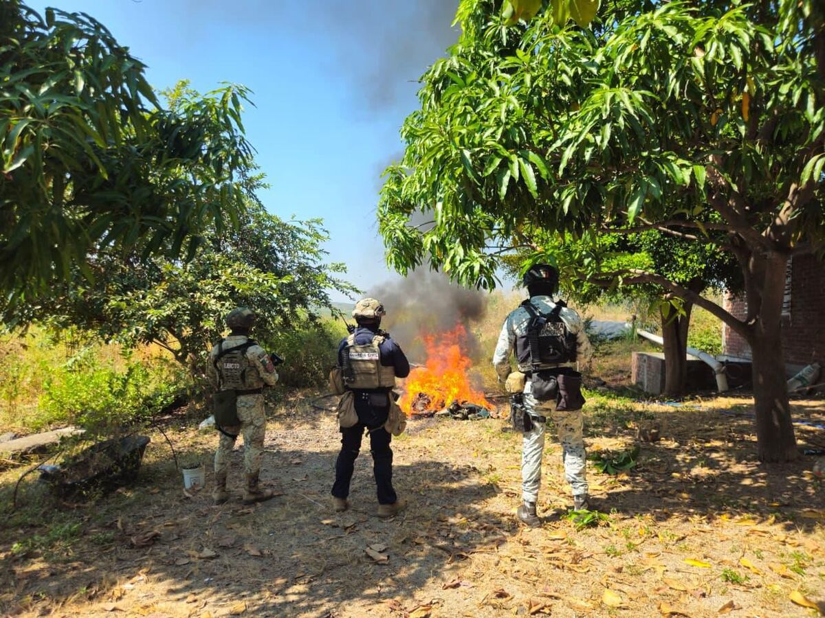 Los campamentos fueron localizados por la Defensa y Guardia Nacional. | Especisl