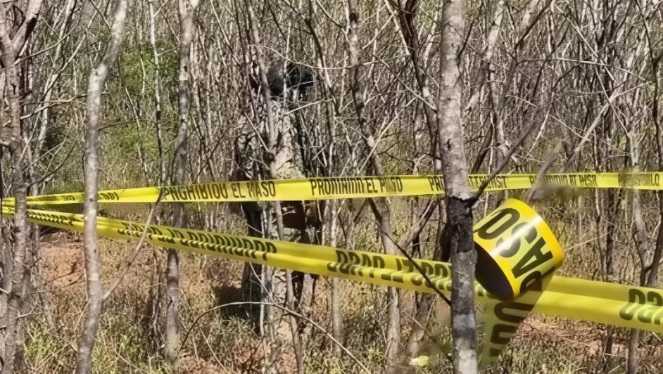 Operativo en Huertos del Pedregal tras hallazgo de restos humanos en predio rural de Culiacán | Especial