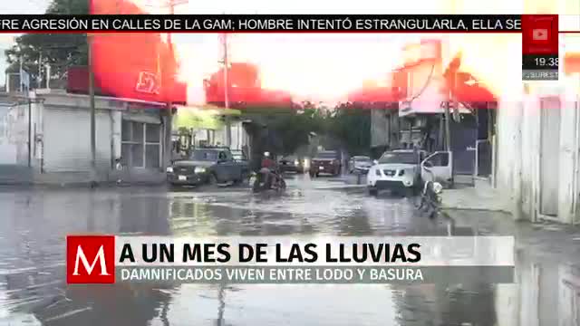 Damnificados en Veracruz siguen entre lodo y basura | Rodrigo Rico, 10 de noviembre de 2025