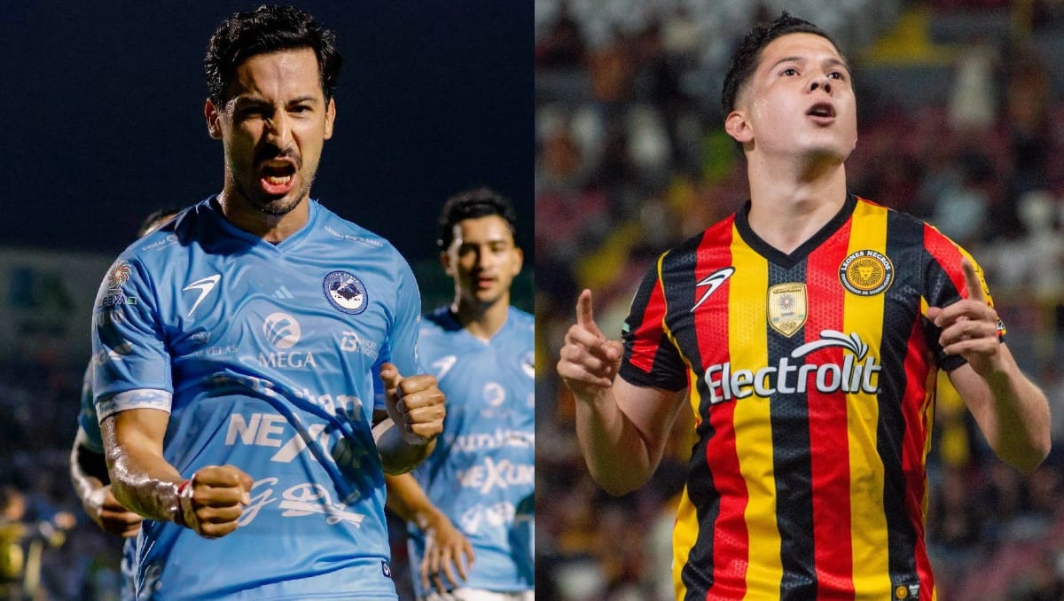 Jaiba Brava vs. Leones Negros. Días y horarios de cuartos de final