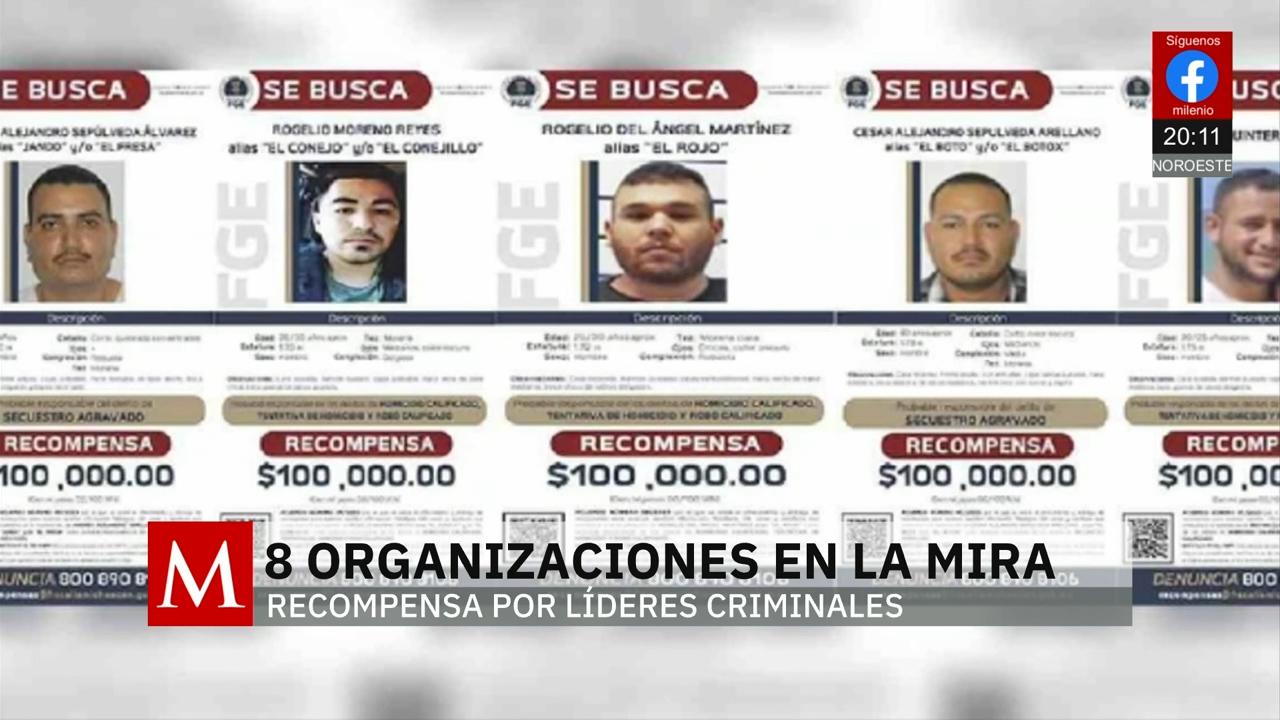 Se trabaja para capturar a líderes de organizaciones criminales en Michoacán